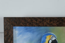 Load image into Gallery viewer, Original Oil Painting of Macaw Parrots by H. Meares | Framed Contemporary Bird Art | Signed Canvas | 16.5” x 20.5”