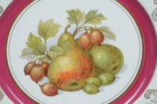 Load image into Gallery viewer, Winterling Fruit Border Plate – Pear & Gooseberry – 10" Round – Gold Rim, Mix & Match Set