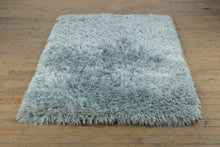 Load image into Gallery viewer, Pier 1 Imports Shaggy Area Rug – Soft Blue/Gray – 75" x 50"