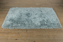 Load image into Gallery viewer, Pier 1 Imports Shaggy Area Rug – Soft Blue/Gray – 75" x 50"