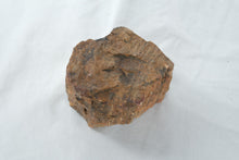 Load image into Gallery viewer, Natural Petrified Wood Fossil Log Section Display Specimen 4 Inch