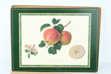 Load image into Gallery viewer, Pimpernel Pomona Fruit Placemats Set of 4 Cork Backed England 16 x 12