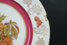 Load image into Gallery viewer, Pair of Winterling Germany 10" Fruit Plates – Pineapple & Strawberries – Gold Rim, Mix & Match Set