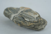 Load image into Gallery viewer, Banded Gneiss Stone with Natural Quartz Veining