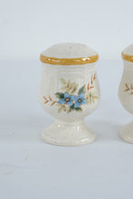 Load image into Gallery viewer, Mikasa Garden Club Day Dreams Salt and Pepper Shakers EC461 Japan Vintage