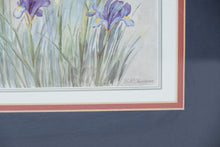 Load image into Gallery viewer, Set of 2 Framed Floral Prints by B.M. Cheesman – “Irises” & “Salvia” – 15" x 17" Gold Frame Wall Art