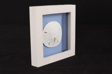 Load image into Gallery viewer, Sand Dollar by Beachcombers Int'l Inc