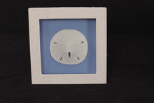 Load image into Gallery viewer, Sand Dollar by Beachcombers Int'l Inc