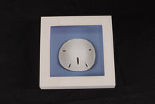 Load image into Gallery viewer, Sand Dollar by Beachcombers Int'l Inc