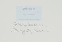 Load image into Gallery viewer, "Golden Sea Smoke", Stomington, ME by Sandy Dolan