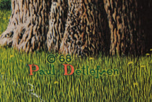 Load image into Gallery viewer, 1968 Paul Detlefsen “Seasons of the Year” Lithograph Print Set of 4