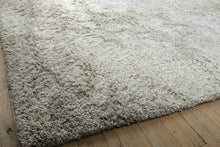 Load image into Gallery viewer, Large Shag Area Rug 9 x 12 Light Gray Plush High Pile Modern Neutral