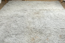 Load image into Gallery viewer, Large Shag Area Rug 9 x 12 Light Gray Plush High Pile Modern Neutral