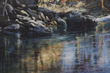 Load image into Gallery viewer, Smokey Mountain River Shore - Jim Gray