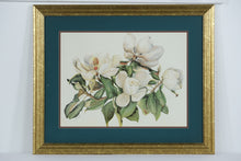 Load image into Gallery viewer, “Southern Charm II” by B. Long – Magnolia Botanical Print – Framed Wall Art 34” x 28.5”