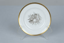 Load image into Gallery viewer, Spode Chatham Y5280 Bone China Dinnerware Set 26 Pieces Gold Trim England
