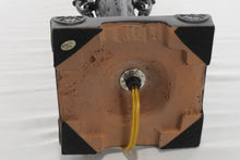 Load image into Gallery viewer, Tall Rubbed Bronze Lamp with Urn Base