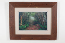 Load image into Gallery viewer, The Garden Path - Framed Photograph - G Newton