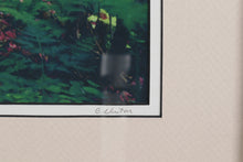 Load image into Gallery viewer, The Garden Path - Framed Photograph - G Newton