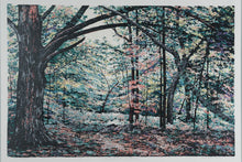 Load image into Gallery viewer, R Byrom The Light Under the Boughs Signed Limited Edition Print Framed 50x37