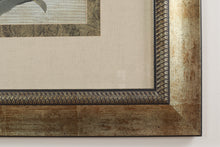 Load image into Gallery viewer, Tropical Orchid by Hussy # 1