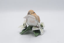 Load image into Gallery viewer, Lenox Turtle Dove Fine Porcelain Bird Figurine Poinsettia Original Certificate