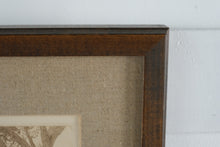 Load image into Gallery viewer, Don Swann “Old South, U of N.C.” Original Signed Etching – Limited Edition 169/300 – Framed 13x12