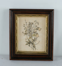 Load image into Gallery viewer, Pair of 12" x 14" Shadow Box Frames with Vintage Art – Rustic Antique Aesthetic, 2" Deep Display Frames