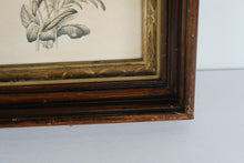 Load image into Gallery viewer, Pair of 12" x 14" Shadow Box Frames with Vintage Art – Rustic Antique Aesthetic, 2" Deep Display Frames