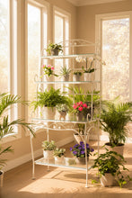 Load image into Gallery viewer, White Wrought Iron Baker’s Rack with Glass Shelves