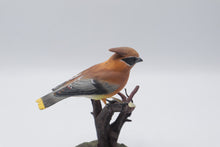 Load image into Gallery viewer, Cedar Waxwing Bird Figurine Perched on Branch Realistic Wildlife Sculpture