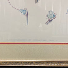 Load image into Gallery viewer, Antique Joseph Dalton Hooker Botanical Lithograph Pair Rhododendron Thomsoni Fulgens Framed