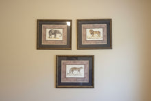 Load image into Gallery viewer, Safari Animal Wall Art Set Elephant Lion Leopard Framed Prints USA