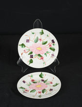 Load image into Gallery viewer, Blue Ridge Hand Painted Floral Plates – Set of 2, Southern Potteries USA