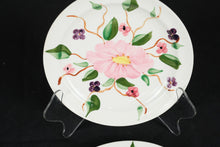 Load image into Gallery viewer, Blue Ridge Hand Painted Floral Plates – Set of 2, Southern Potteries USA