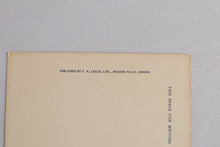 Load image into Gallery viewer, Vintage America Falls of Niagara and Cave of the Winds - Unposted