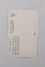 Load image into Gallery viewer, Lily Pond at Aquarium and Horticultural Building, Belle Isle Park, Detroit, MI Postcard - Unposted