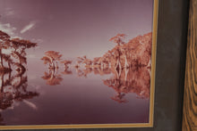 Load image into Gallery viewer, Vintage Infrared Cypress Trees Lake Photograph – Signed Landscape Print in Rustic Wood Frame (29” x 23”)