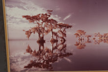 Load image into Gallery viewer, Vintage Infrared Cypress Trees Lake Photograph – Signed Landscape Print in Rustic Wood Frame (29” x 23”)
