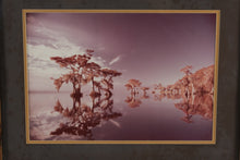 Load image into Gallery viewer, Vintage Infrared Cypress Trees Lake Photograph – Signed Landscape Print in Rustic Wood Frame (29” x 23”)