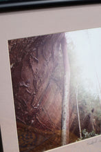 Load image into Gallery viewer, Interesting Framed Forest Photograph - Bradford Smith