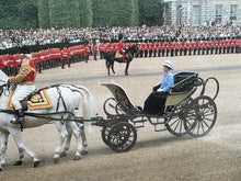 Load image into Gallery viewer, Framed Picture of Queen Elizabeth