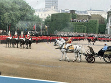 Load image into Gallery viewer, Framed Picture of Queen Elizabeth