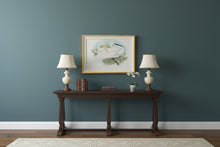 Load image into Gallery viewer, Walter Himpel Herodias Alba Gould Water Fowl Framed Print Soicher Marin P5310A