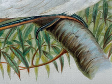 Load image into Gallery viewer, Framed Gould Water Fowl by Walter Imp