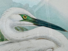 Load image into Gallery viewer, Framed Gould Water Fowl by Walter Imp