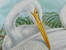 Load image into Gallery viewer, Framed Gould Water Fowl by Walter Imp