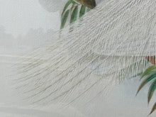 Load image into Gallery viewer, Framed Gould Water Fowl by Walter Imp