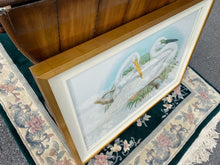 Load image into Gallery viewer, Framed Gould Water Fowl by Walter Imp