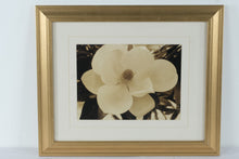 Load image into Gallery viewer, Magnolia Flower Sepia Photograph Framed Wall Art Gold Frame 19 x 23
